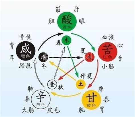 五行缺木名字|五行缺木取名字大全，五行属木名字有哪些